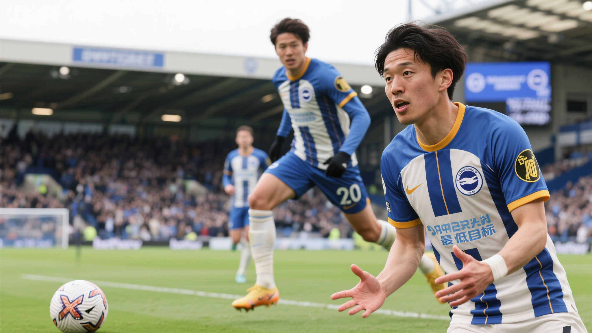 观赏性上都 观赏性上都